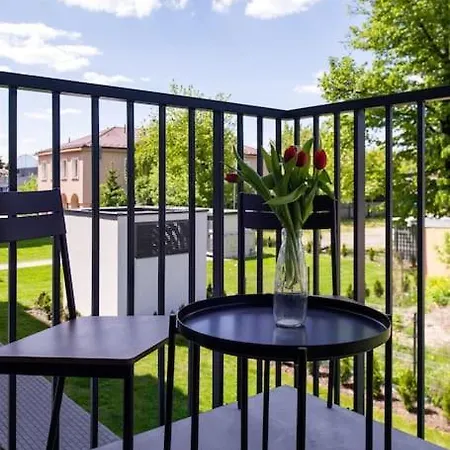 Comfortable And Spacious Oasis-2